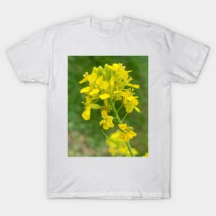 Yellow lampshade flower T-Shirt